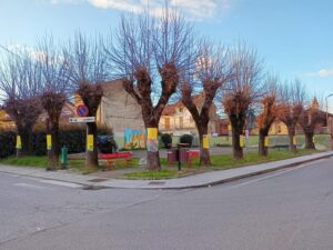 Giarole per le donne