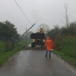 Maltempo, cade un albero sulla Bassignana-Montecastello