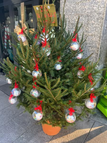 Piccoli e piccolissimi allestiscono gli alberi sul corso