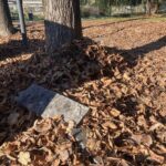 Passeggiando per Valenza