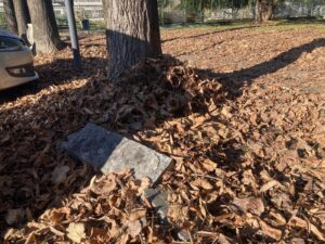 Passeggiando per Valenza