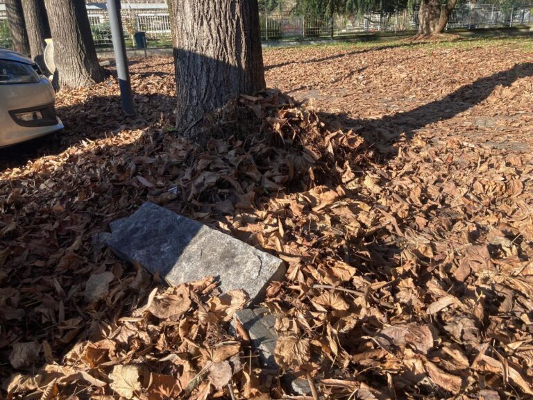 Passeggiando per Valenza