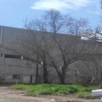 Spuntiamo da sotto il tavolo ? Italia Viva Valenza replica e rilancia