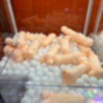 Quei pupazzetti non proprio idonei ….. allo spirito natalizio