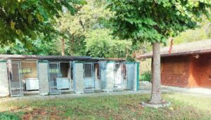 Il Centro Riformista Valenza incalza Oddone sullo sprint finale