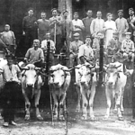 La nascita della Cantina Sociale di Valenza