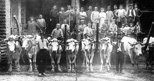 La nascita della Cantina Sociale di Valenza