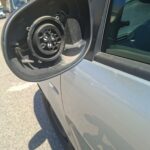 Un furto singolare in viale Oliva