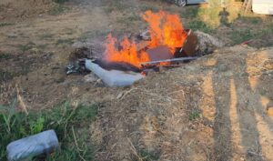 Monte, brucia materassi e pneumatici sul suo terreno: denunciato dalla polizia locale